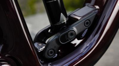 Trek Fuel EX 9 EA90 L Matte Sedona Red/Pennyflake Splat Produktbild 5