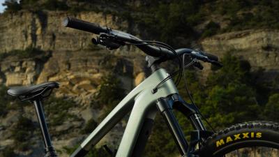 Trek FUEL+ EX 9.8XTDI2 EU L Carbon Smoke/Lithium Grey M 110Km Produktbild 6